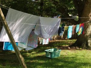 Photo credit: www.annkroeker.com