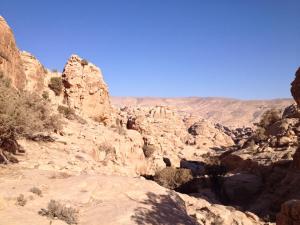 264493_10152321009793642_90058437_n