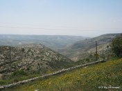 The green hills of Umm Qais