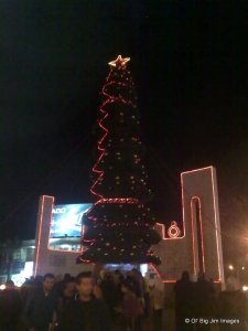 163923_1605737221856_7243104_n-001