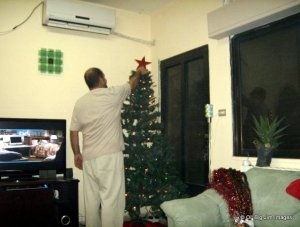 Zeek adding the star to the top of the tree